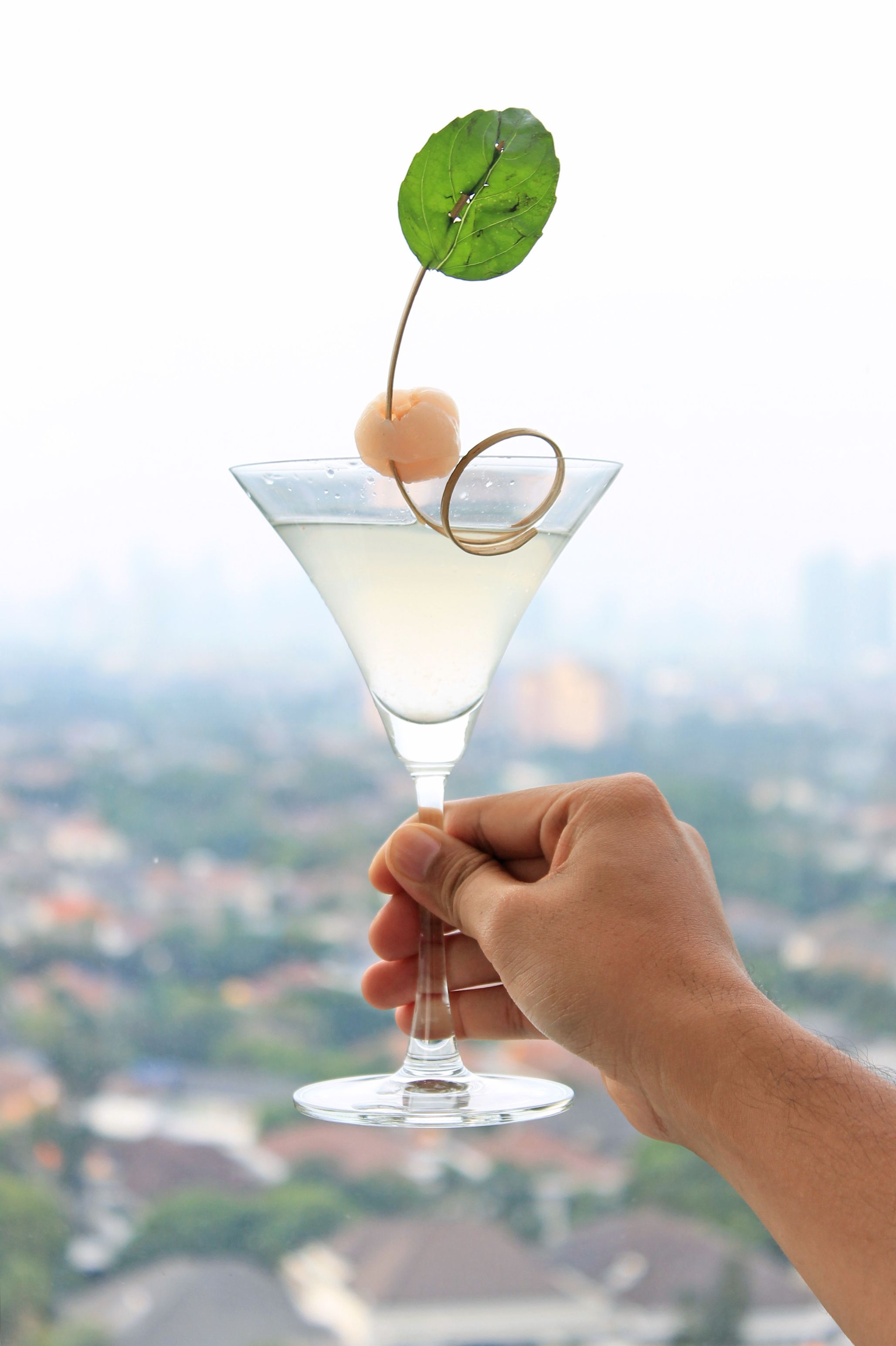 A hand holding a martini glass with a lemon twist garnish, set against a blurred cityscape background.