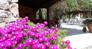 Exterior detail - Rocce Bianche (Arbus)