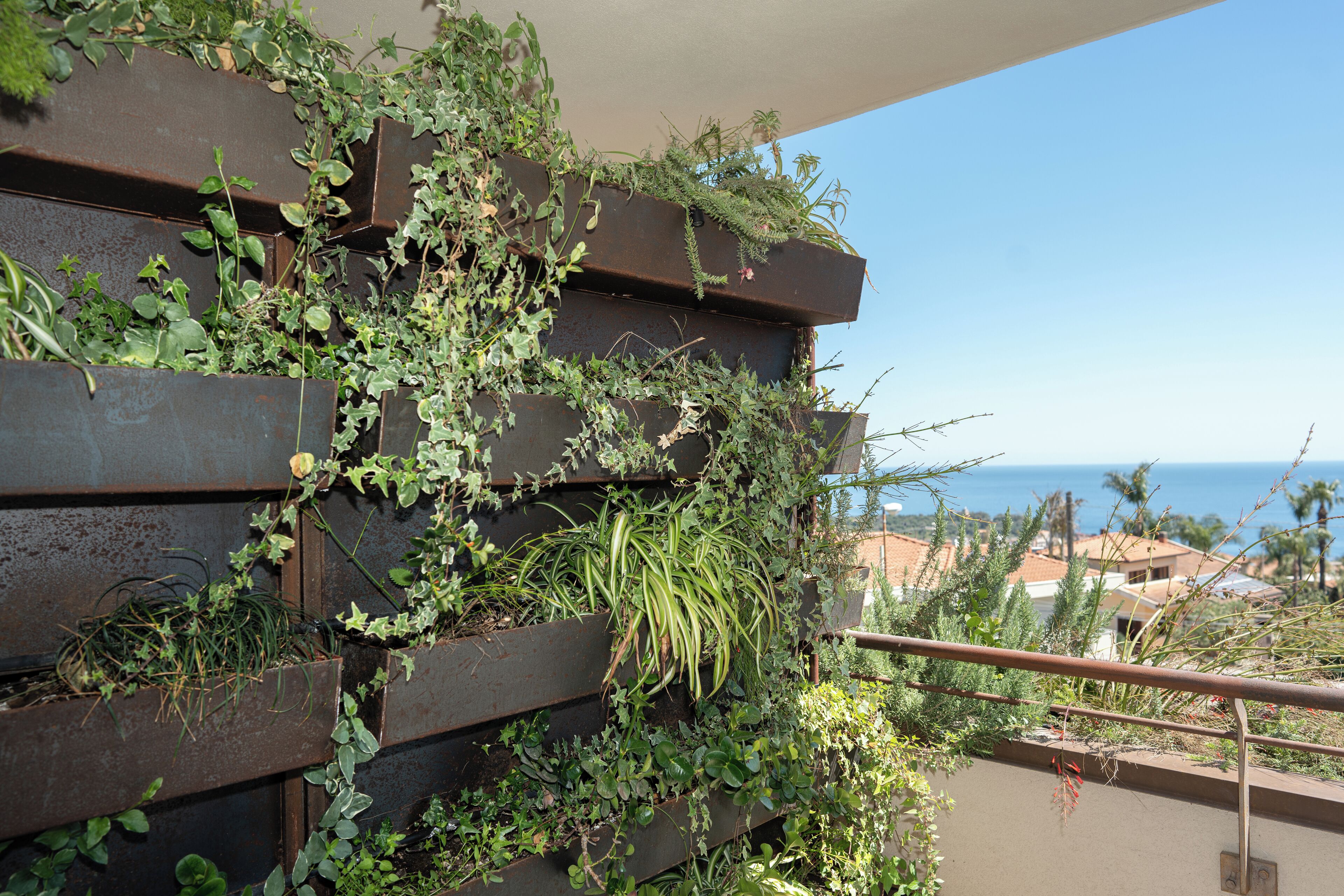 Suite | Terrace/patio