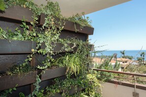 Suite | Terraza o patio