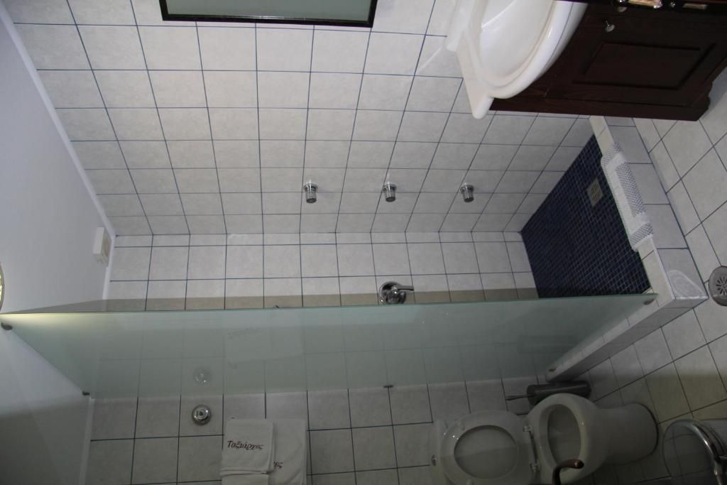 A bathroom with a glass shower enclosure, a toilet, and a bidet.