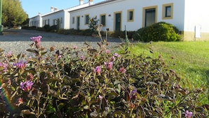Un edificio blanco con marcos de ventana amarillos y una puerta verde, rodeado por un camino de grava y un área verde con flores moradas.