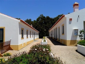 Property grounds - Monte Carvalhal da Rocha - Campground (Odemira)