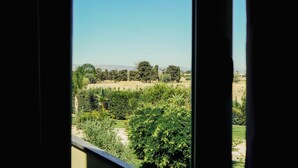 A view through a window of a landscape with trees and a clear sky.