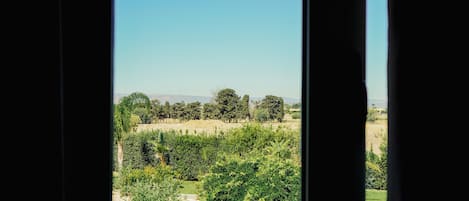 Vista a través de una ventana mostrando un paisaje con árboles y cielo despejado.
