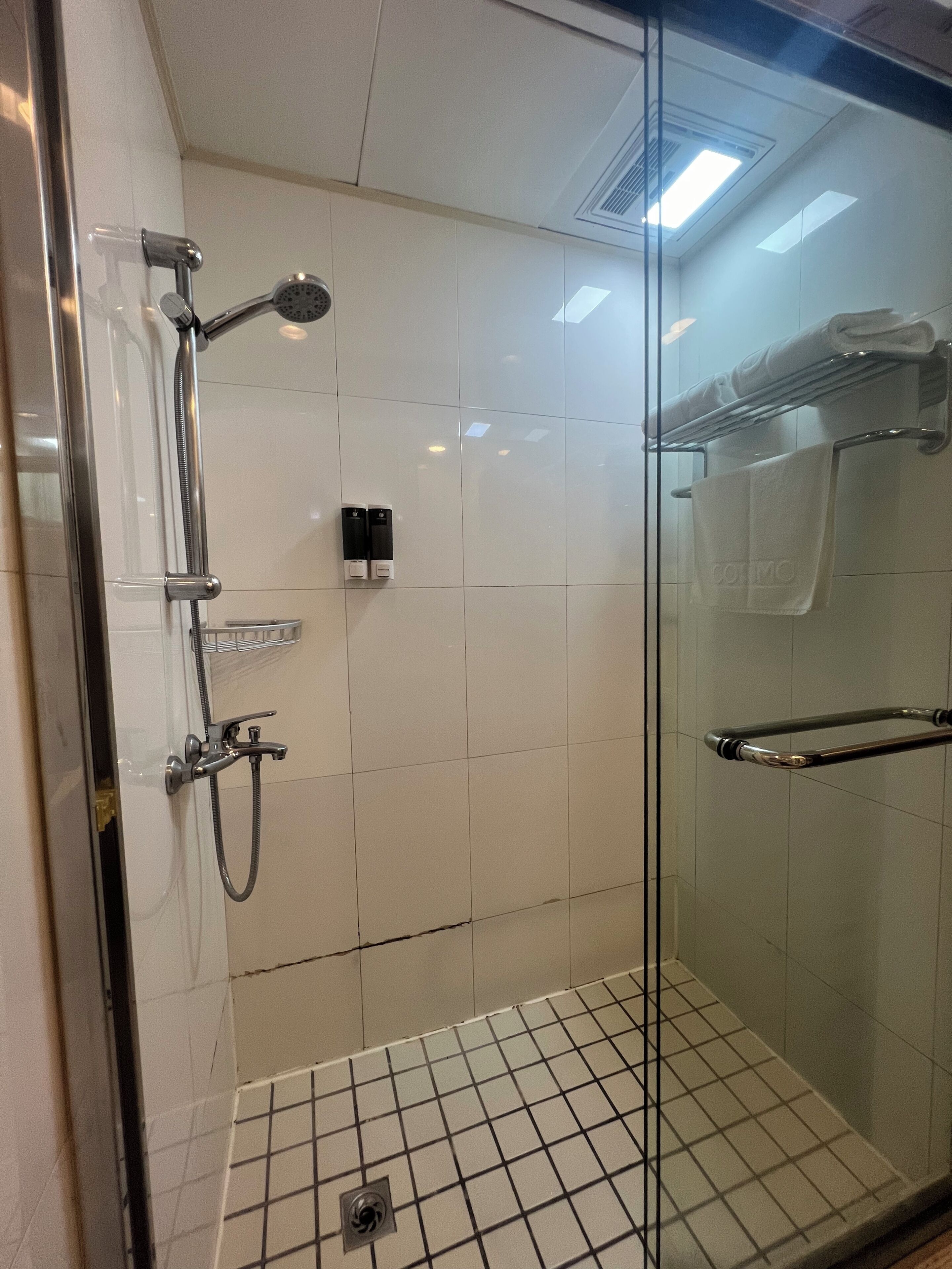 A glass-enclosed shower with a handheld showerhead, a wall-mounted towel rack, and a visible drain.