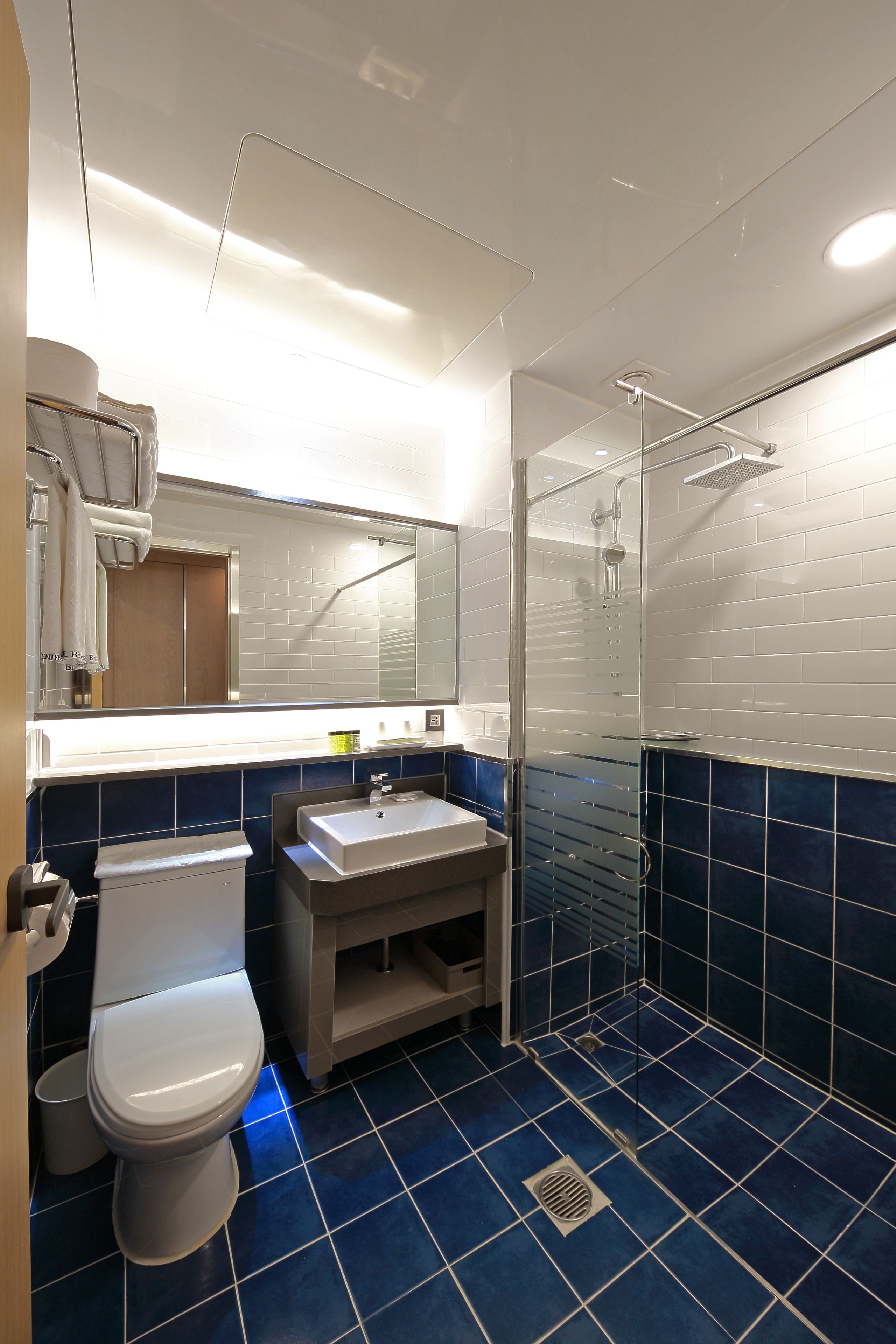 A modern bathroom with a glass shower enclosure, a white toilet, and a sink with a mirror above it.
