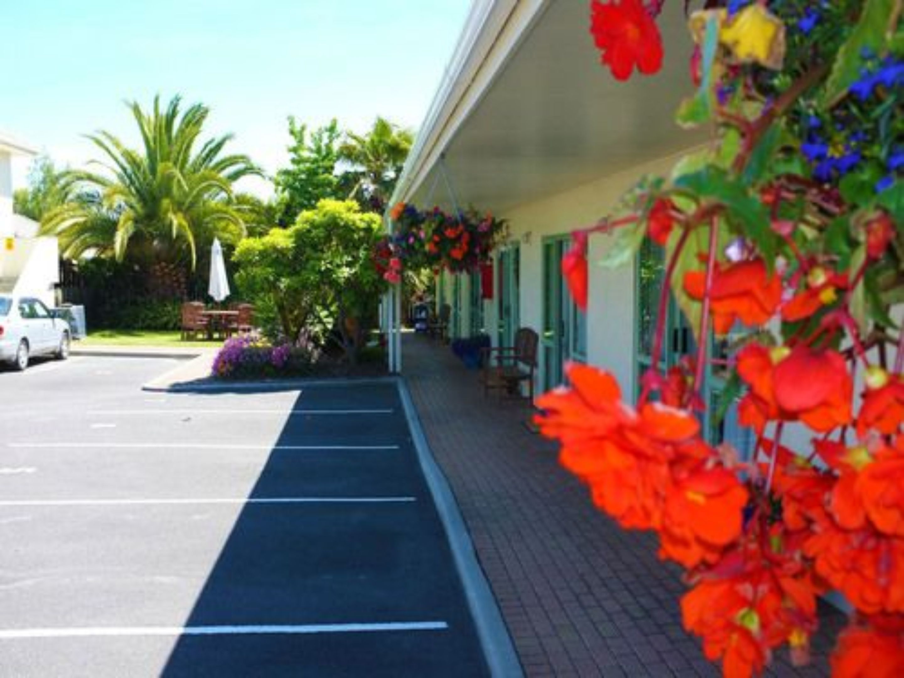 Un hotel con parcheggio, area salotto all'aperto e una fila di palme.
