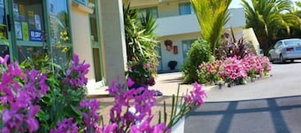 Birchwood Spa Motel