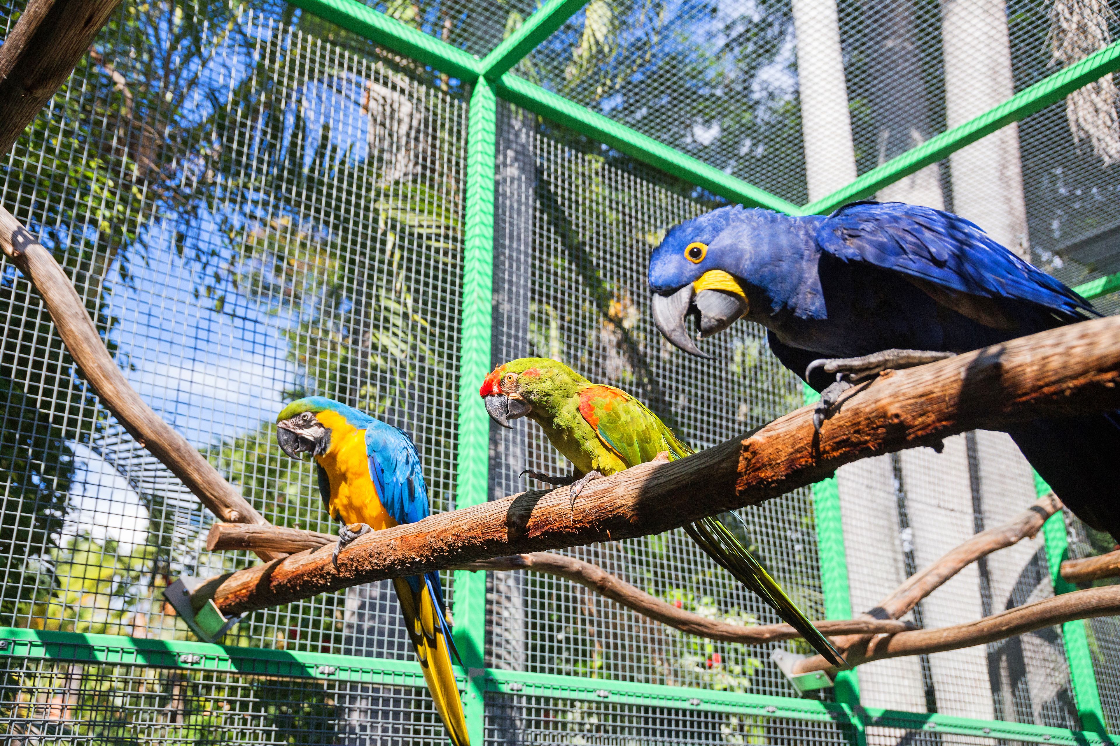 Photo - Ashmore Palms Holiday Village