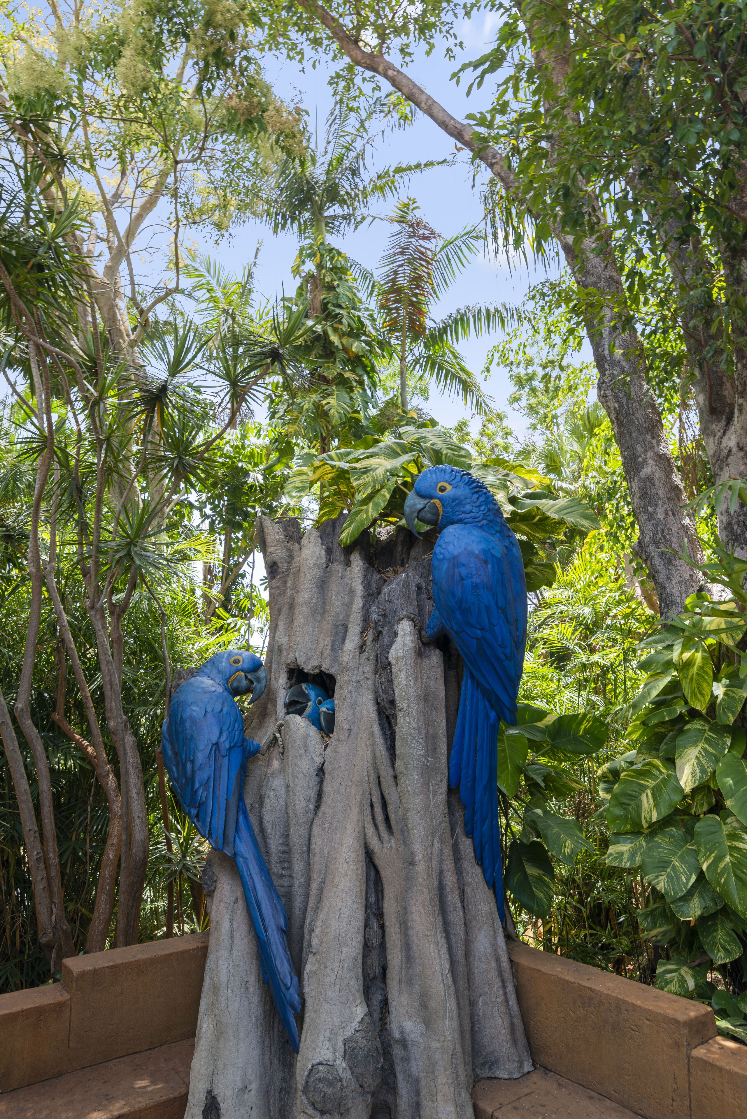 Photo - Ashmore Palms Holiday Village