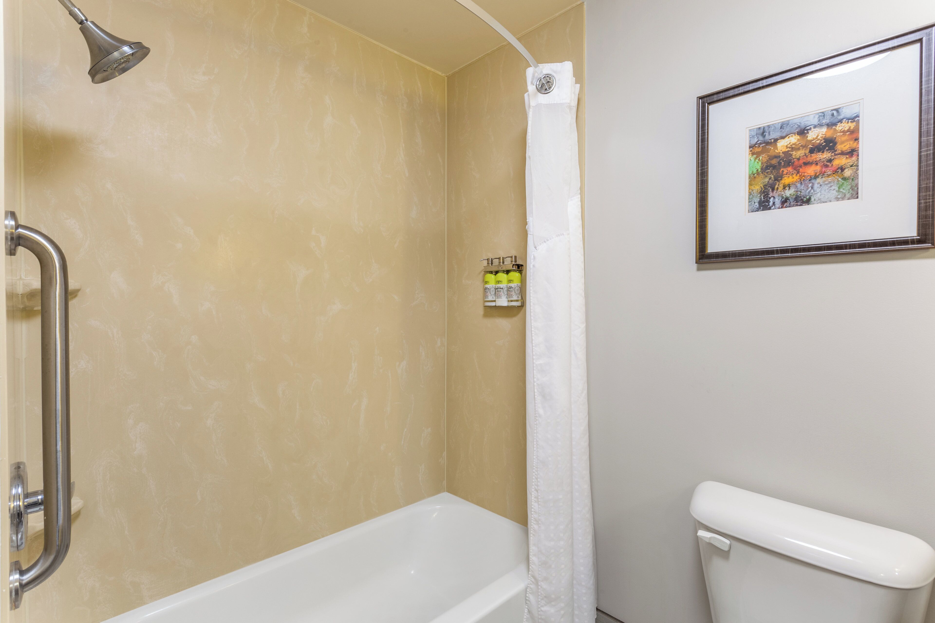 Un baño con bañera, cortina de ducha, inodoro y un cuadro en la pared.