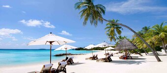 奧林匹克大飯店