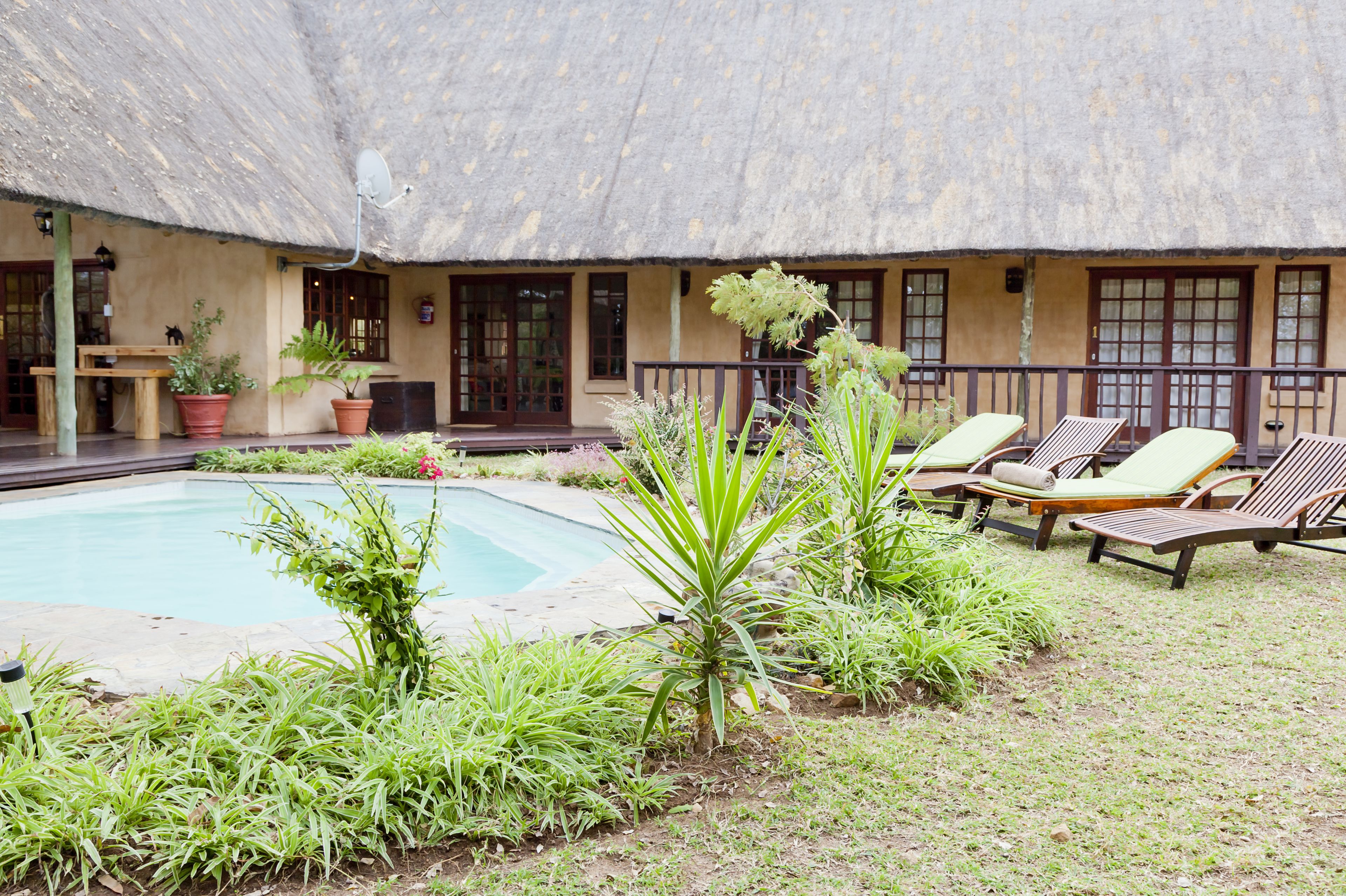 A pool area with lounge chairs and potted plants.
