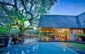 Relax by the pool surrounded by lush greenery and a shaded area.