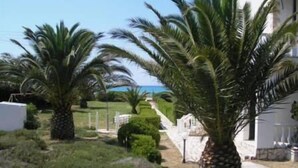 Una propiedad costera con palmeras, un camino y vistas al mar.