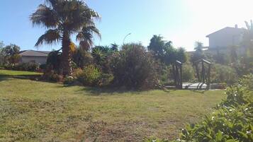 A grassy outdoor area with a palm tree, various shrubs, and a small garden structure.