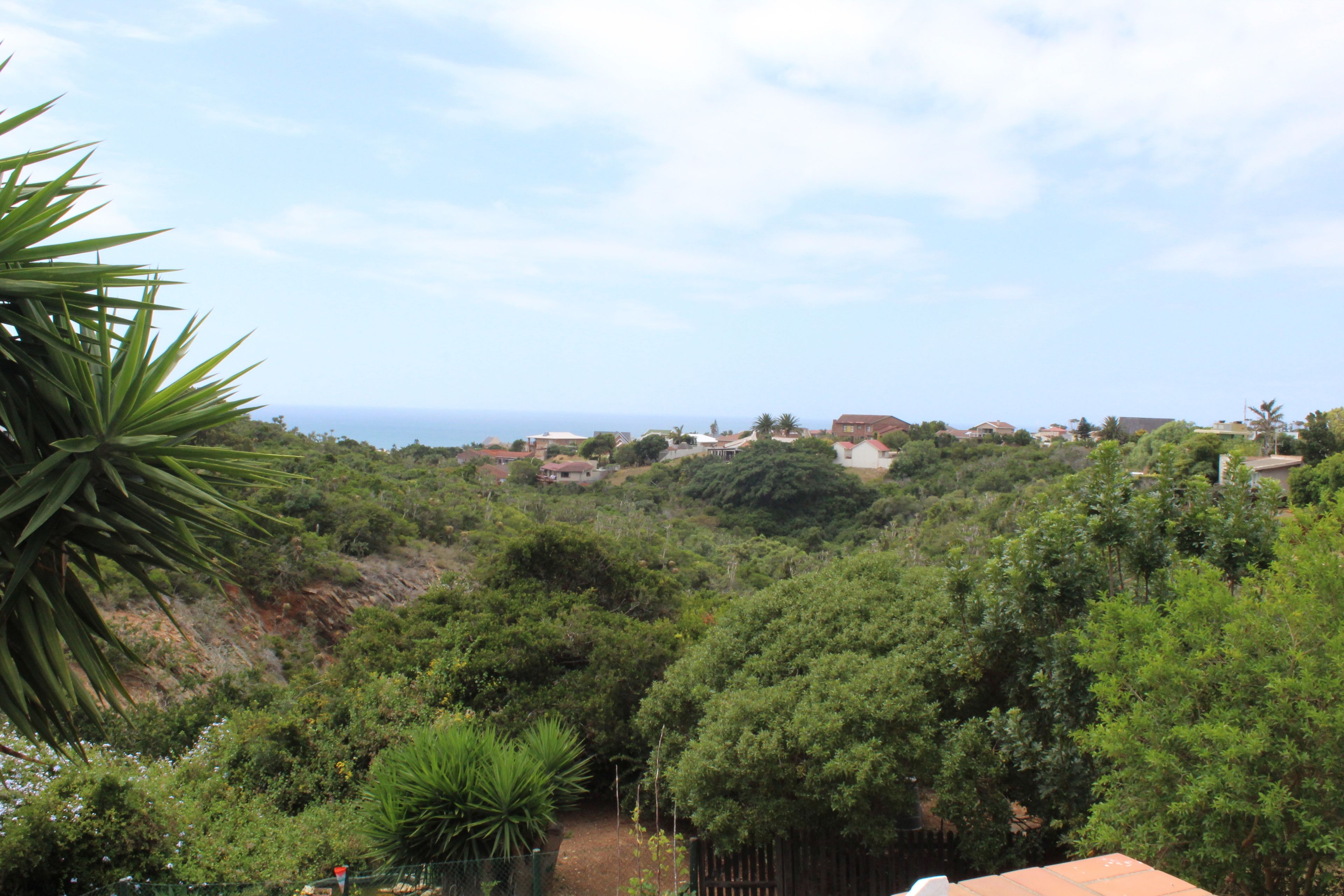 A lush, green landscape with dense vegetation and a distant view of houses.