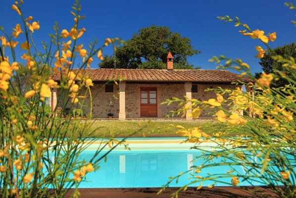 4 outdoor pools, pool umbrellas, sun loungers - Tenuta di Corbara (Orvieto)