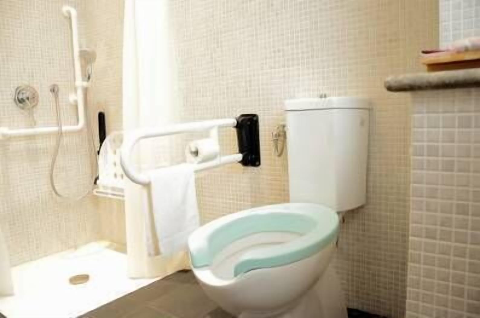 A bathroom with a toilet, grab bars, and a shower.