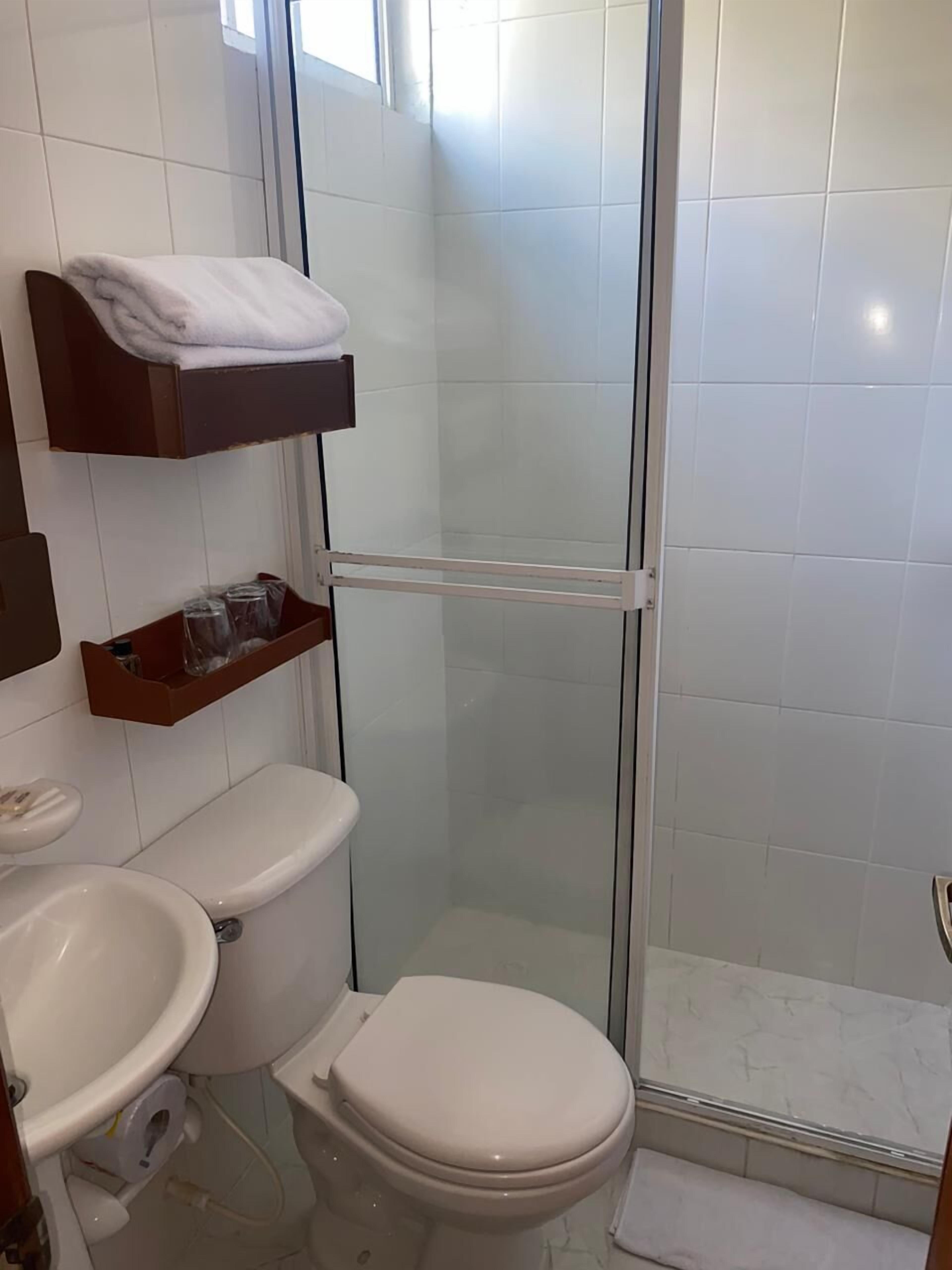 A bathroom with a toilet, sink, and glass-enclosed shower stall.