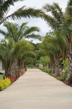 Property grounds - Armonia Village Resort and Spa (Chumphon)