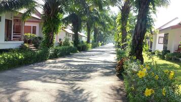 A paved road flanked by lush greenery and palm trees, leading to a row of houses with visible windows and doors.