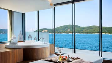 Sauna, tina de hidromasaje, baño de vapor y baño turco o hammam