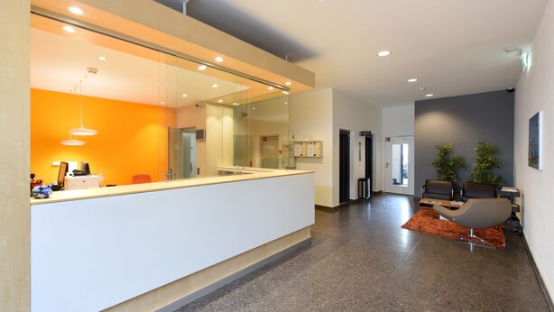 Reception - Apaliving Budgethotel Basel (Basel)