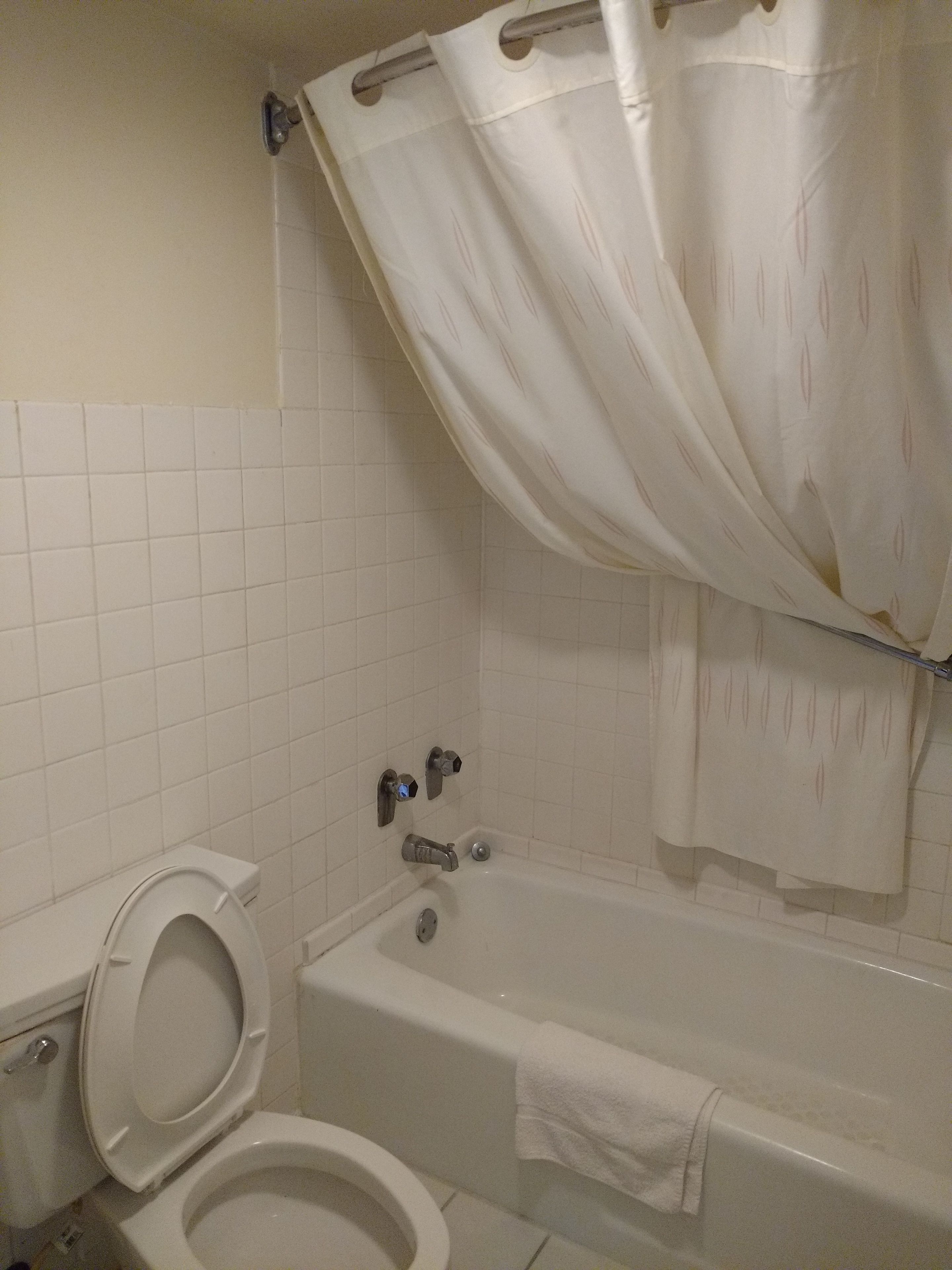 A bathroom with a toilet, a bathtub, and a shower curtain.
