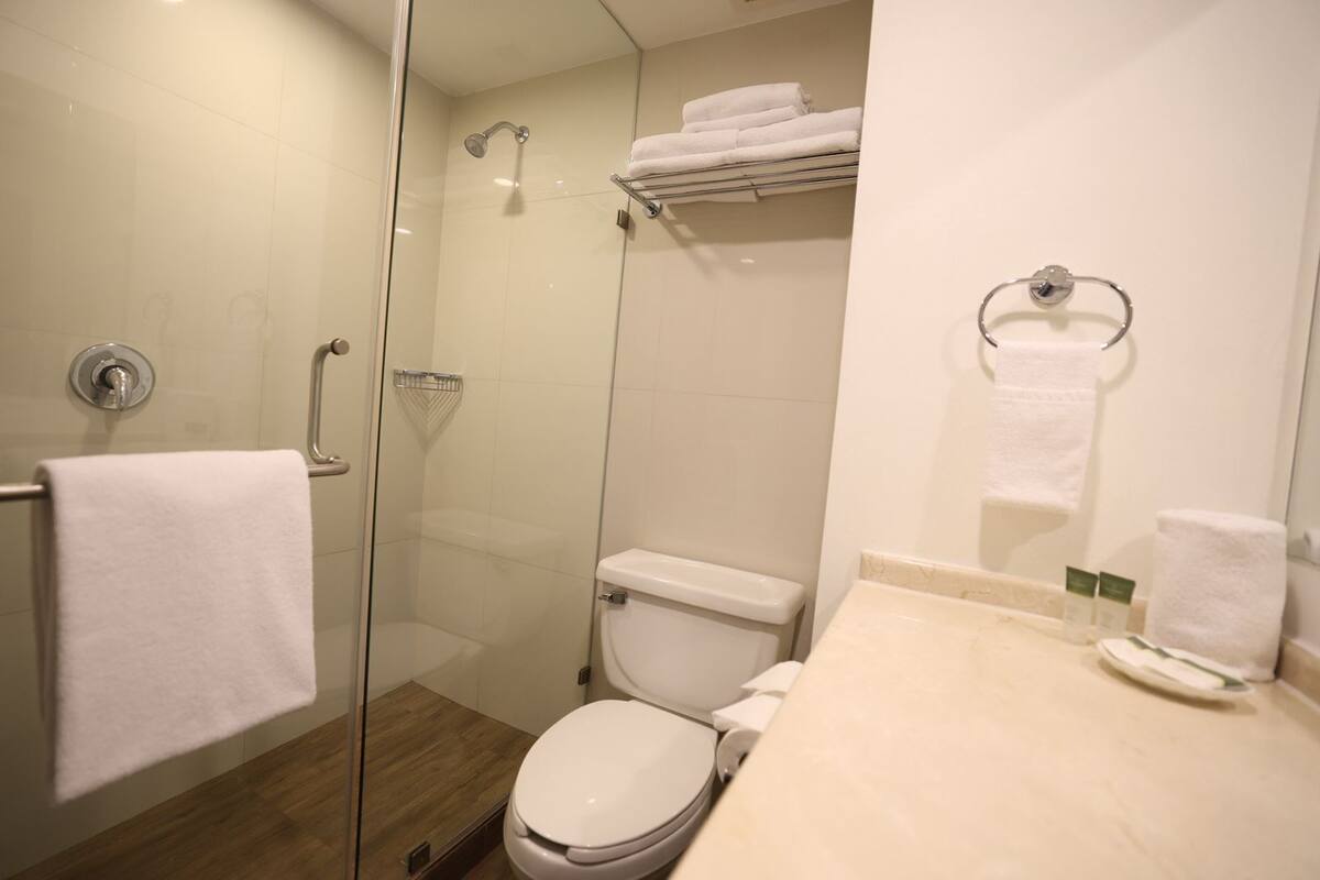 combined shower/bathtub, hair dryer, towels, shampoo