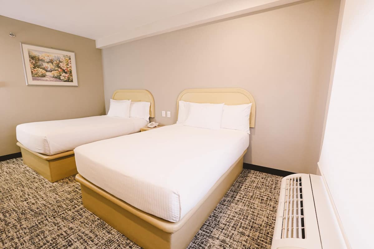 standard double room | egyptian cotton sheets, premium bedding, down duvets, desk