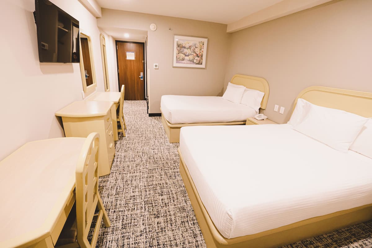 standard double room | egyptian cotton sheets, premium bedding, down duvets, desk