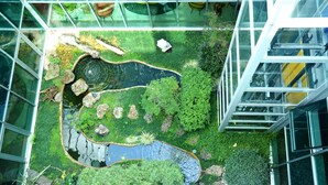 A rooftop garden with a pond, rocks, and various plants. - Kristal (Zane)