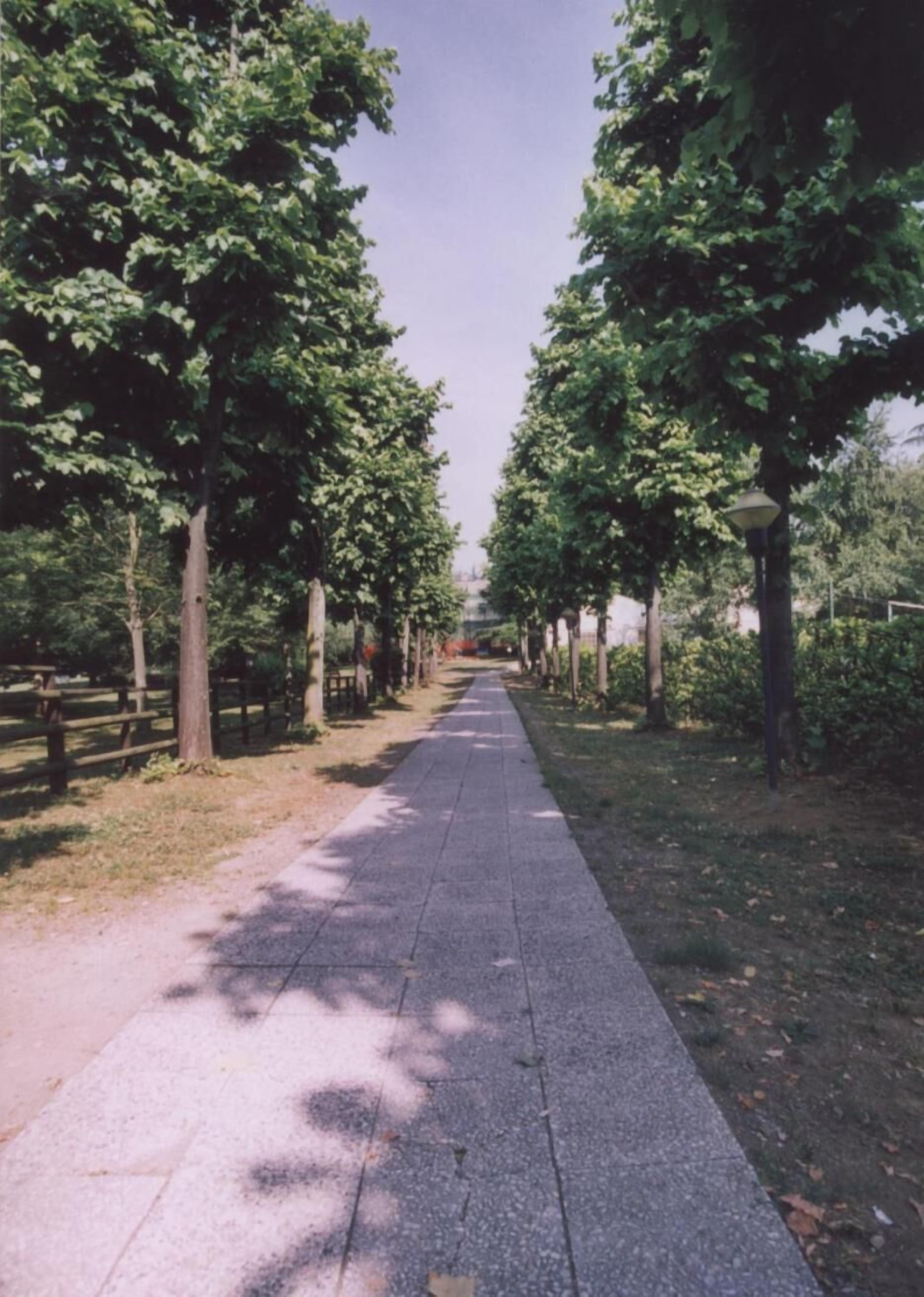 A paved pathway flanked by trees and a wooden fence, leading into a park area.