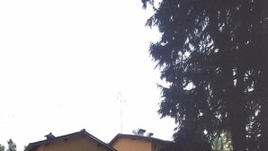 An outdoor patio area with white plastic chairs and tables, a yellow building with a tiled roof, and a large tree. - Albergo Ca' Vecchia (Sasso Marconi)