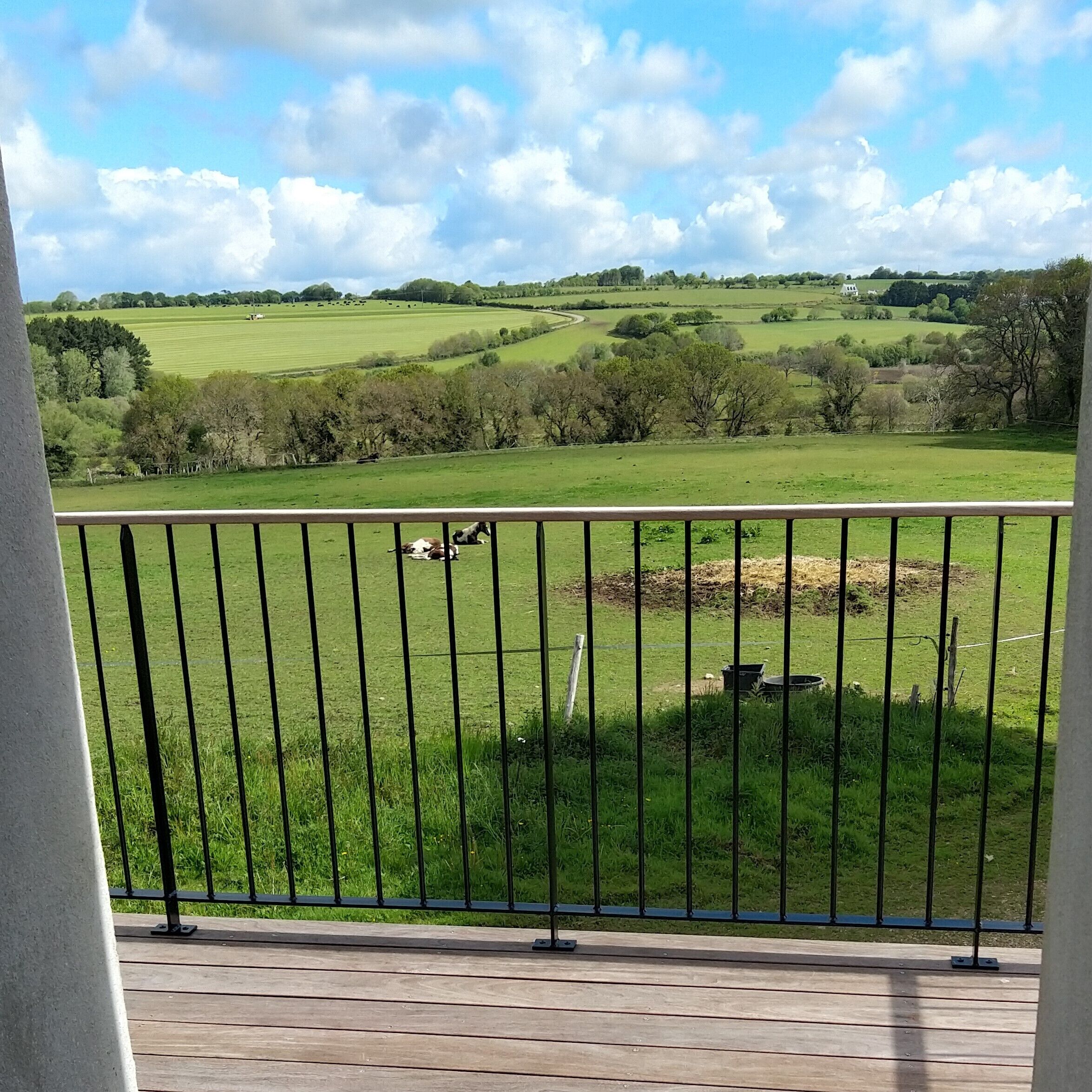 A balcony with a view of a green field and trees.