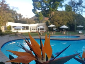 Kolam renang indoor dan kolam renang outdoor, dengan payung kolam renang