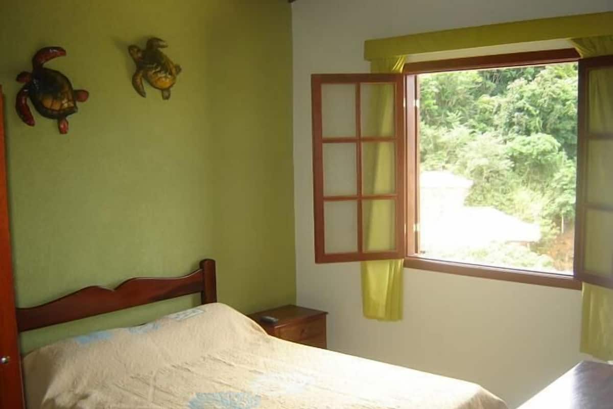 A bedroom with a wooden bed, a small bedside table, a window with a view of greenery, and two wall-mounted turtle decorations.