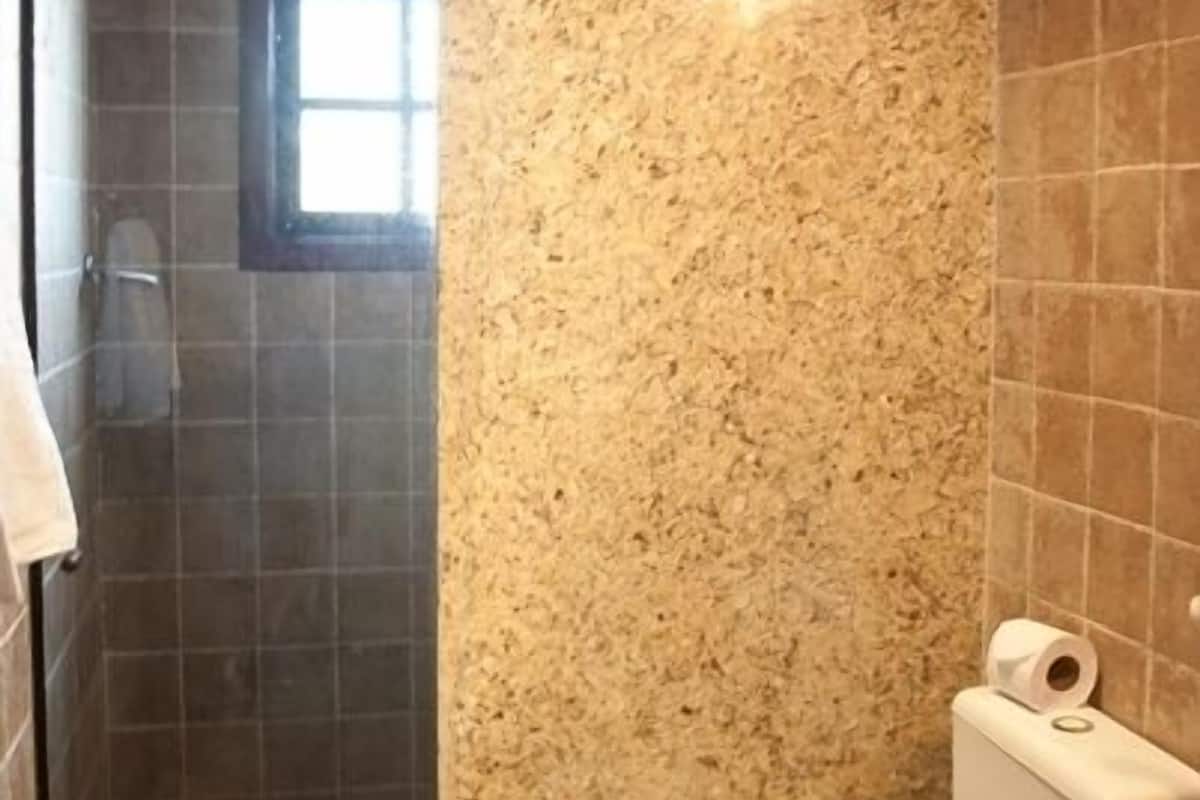 A bathroom with a shower, toilet, and granite countertop.