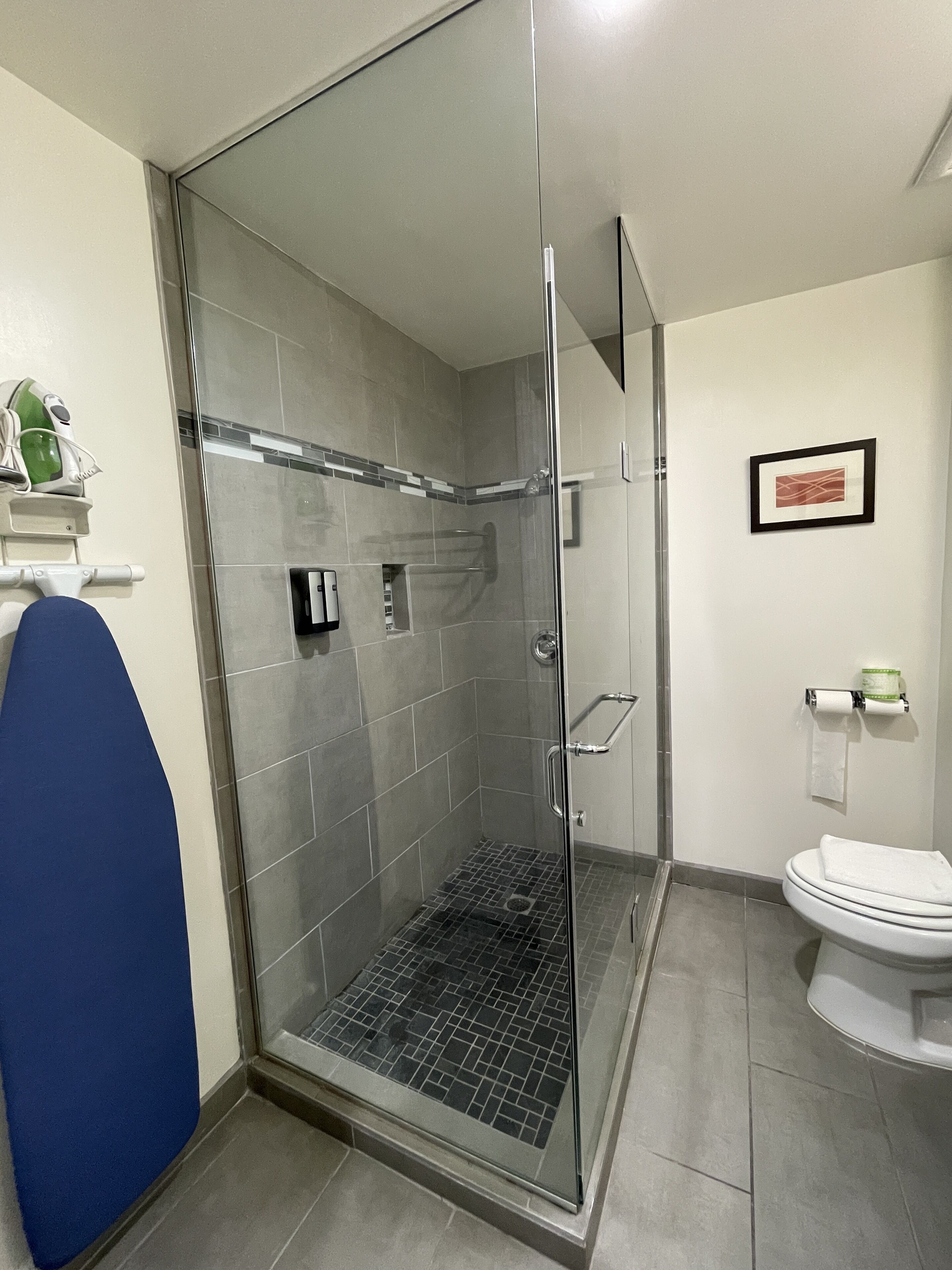 Combined shower/bathtub, free toiletries, hair dryer, towels