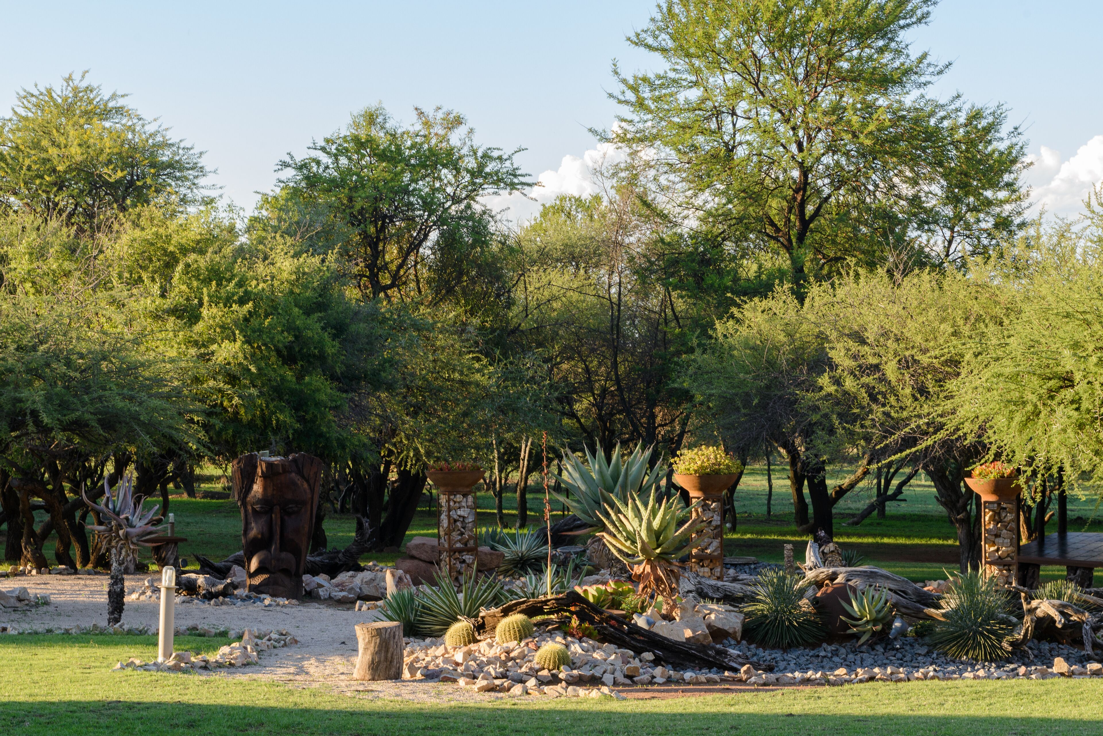 Un jardín ajardinado con diversas plantas, rocas y una gran escultura arbórea.