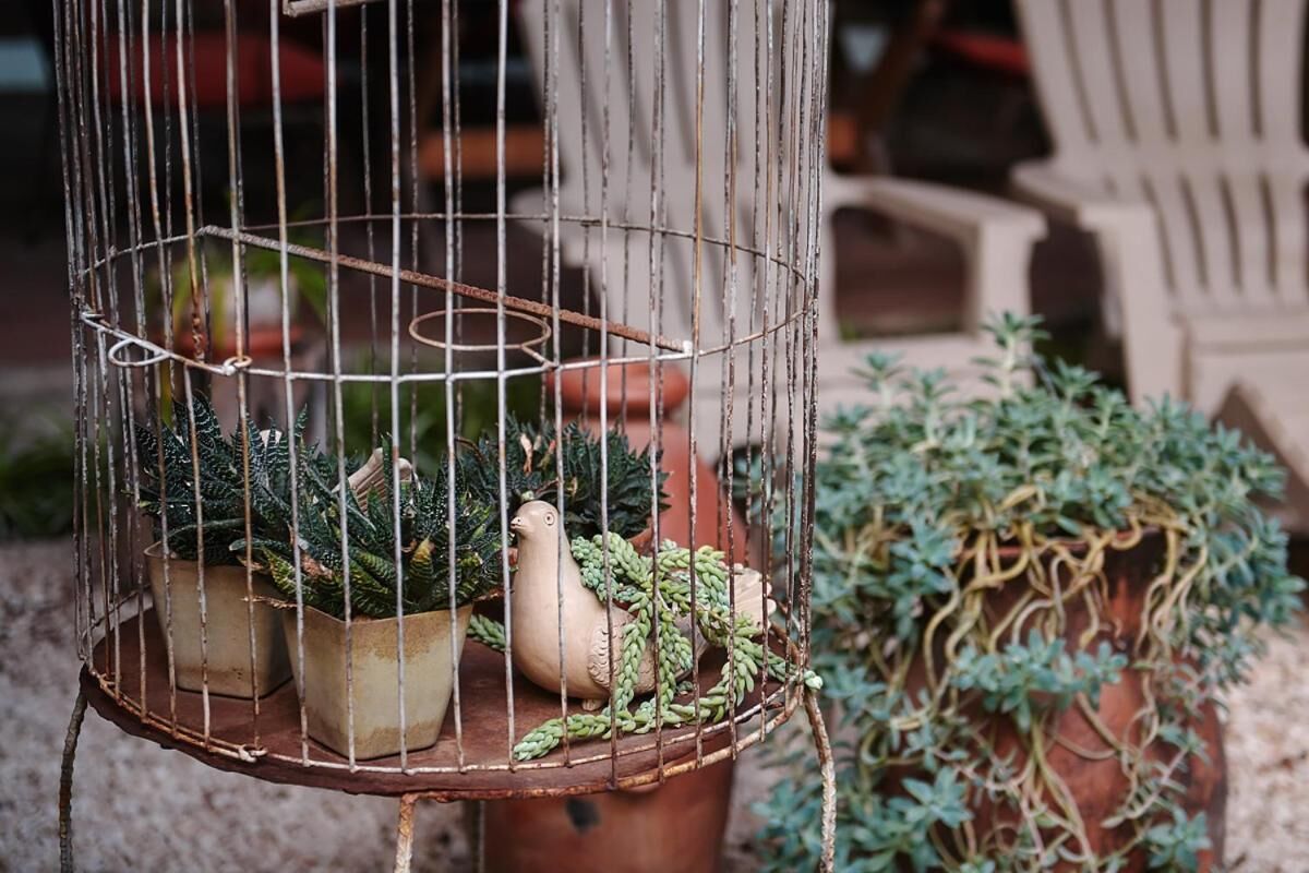 A birdcage with potted plants and a decorative bird inside.