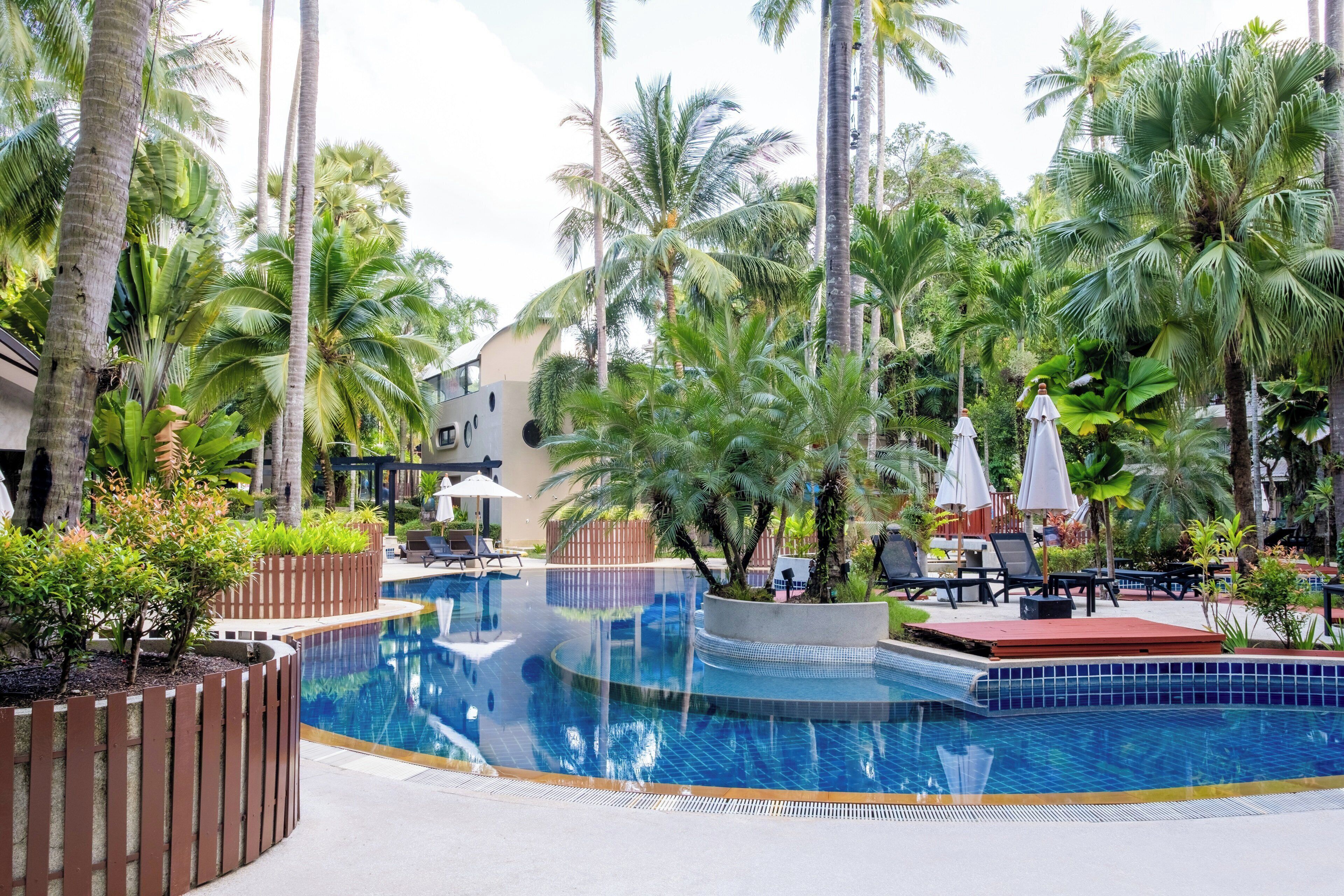 A swimming pool surrounded by palm trees and lounge chairs.
