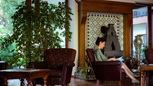 A room with a large potted plant, a fireplace, and a person sitting on a chair reading a book. - Regina Hotel (Druskininkai)