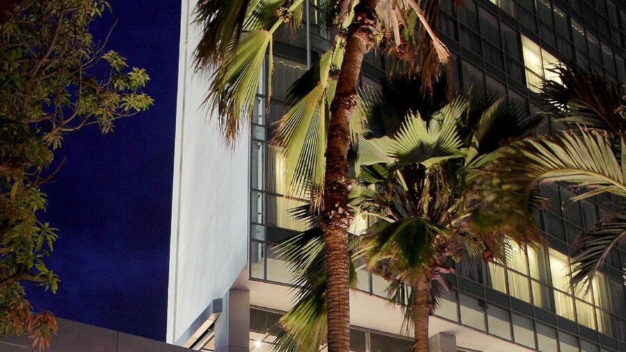 Estelar Apartamentos Barranquilla