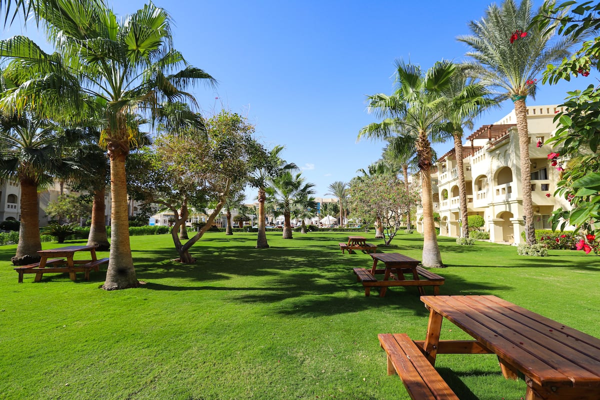 Junior Suite, 1 King Bed | Garden view