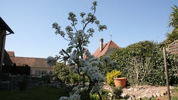 Comfort-Dreibettzimmer | Terrasse/Patio