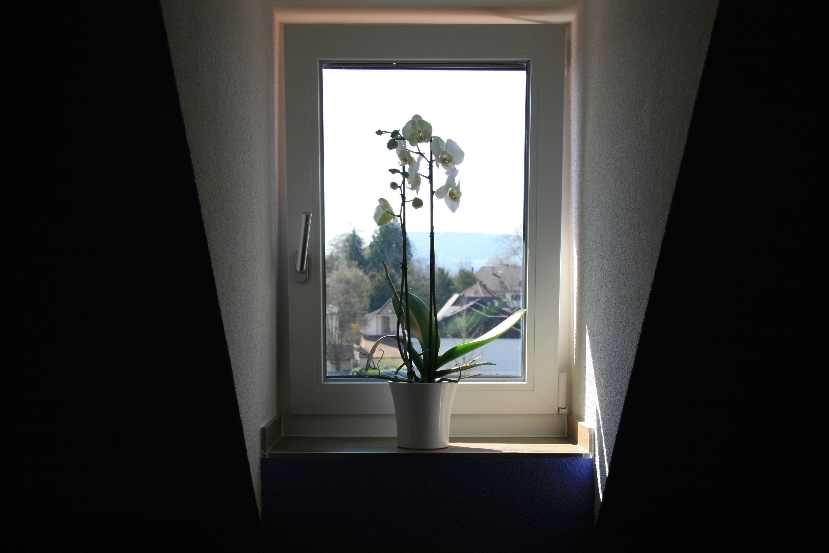 Photo - Hotel Eremitage