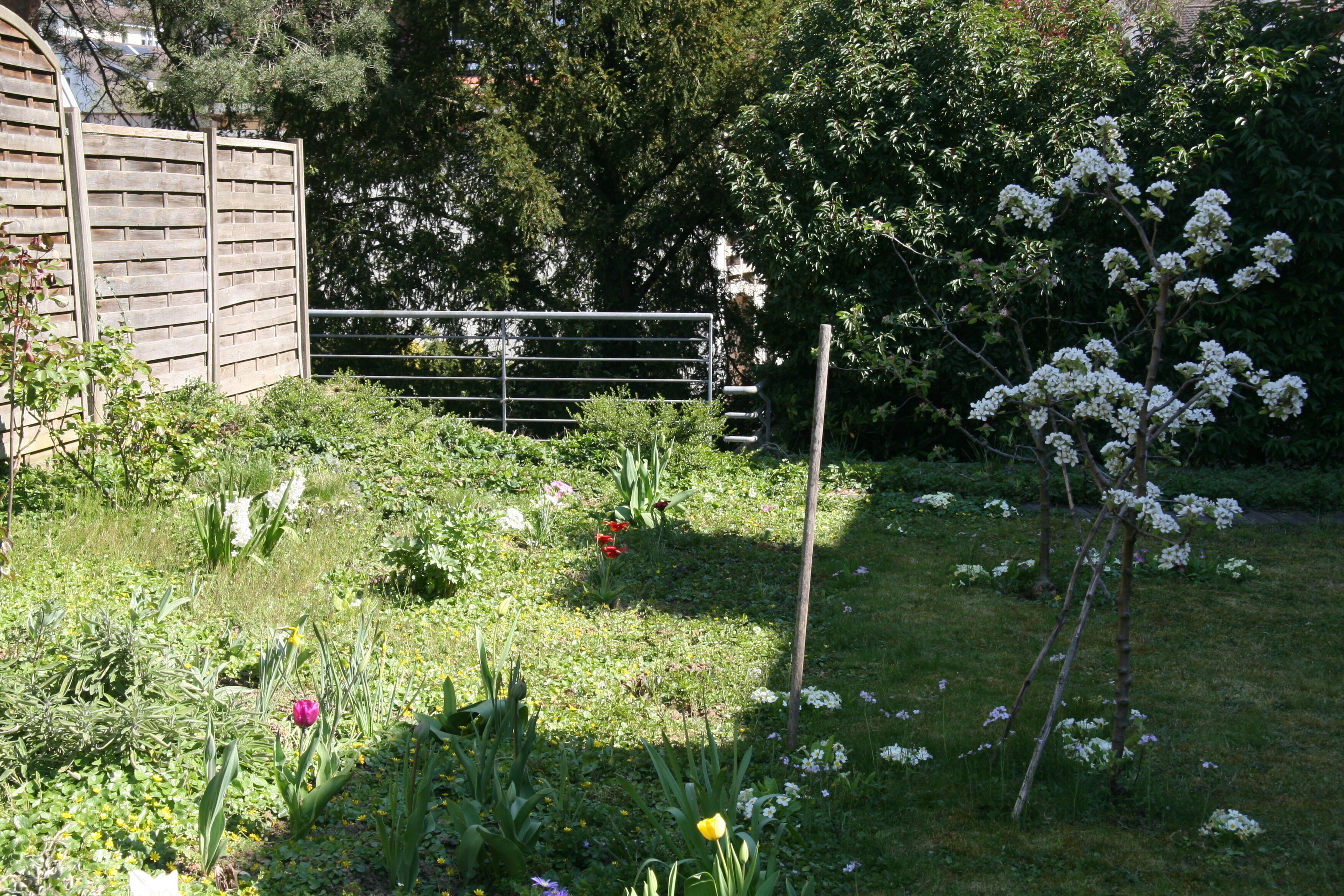 comfort triple room | terrace/patio